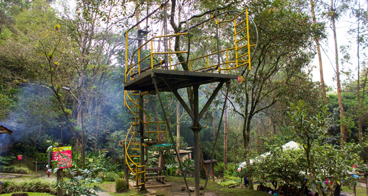 canopy eco parque el dorado