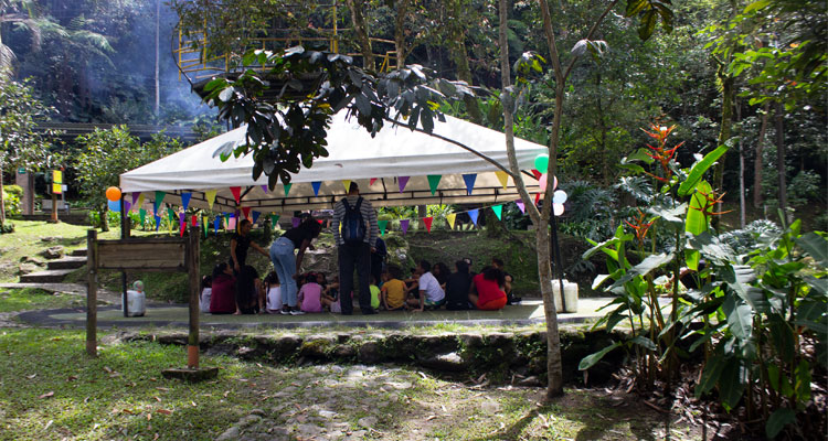 actividades didacticas en el parque el dorado