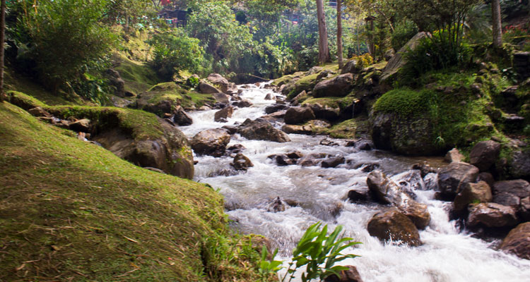 quebrada la ayura bañando el parque el dorado