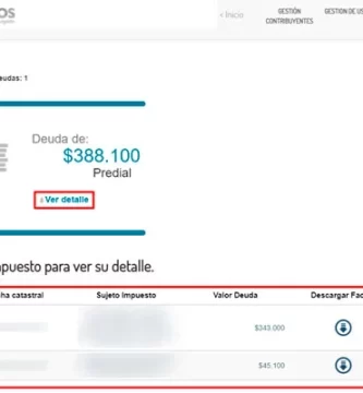 Detalles de deudas de impuestos en envigado