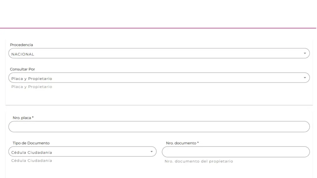 Formulario Consulta Automotores