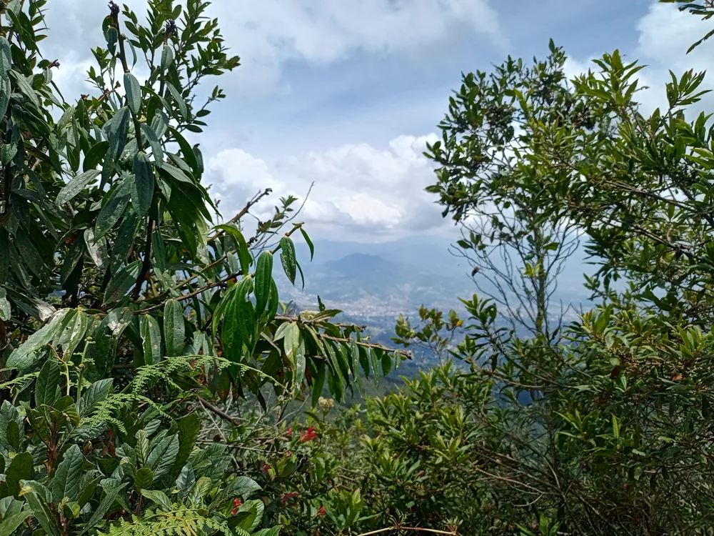 Vista panorámica del valle y montañas entre la vegetación desde el mirador de La Castellana