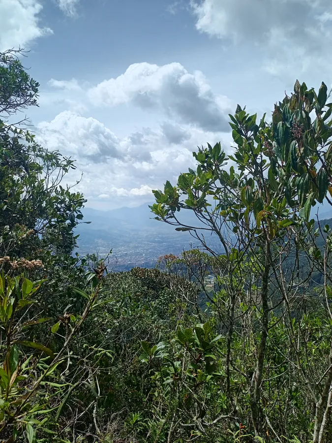 Paisaje montañoso con niebla y vegetación en la Reserva San Sebastián de La Castellana
